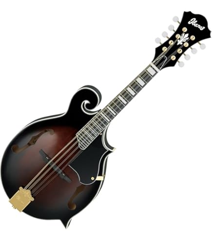 Amazon.com: Ibanez M510OVS Acoustic Mandolin in Vintage Sunburst
